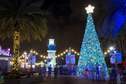 SEAWORLD NAVIDAD