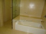 DSC00024.jpg