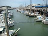 DSC00421.jpg