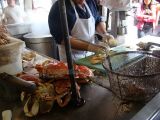 DSC00425.jpg