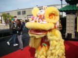 DSC00502.jpg
