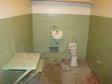 DSC00516.jpg