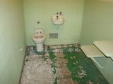 DSC00517.jpg