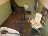 DSC00523.jpg