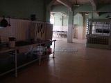 DSC00537.jpg