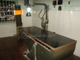 DSC00555.jpg