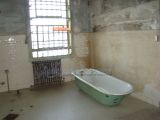DSC00556.jpg