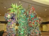 DSC00591.jpg