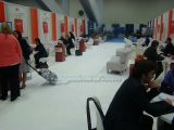 DSC01004.jpg