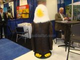 DSC01018.jpg
