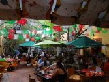 DSC01132.jpg