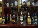 DSC01218.jpg