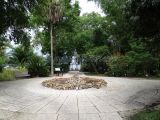 DSC01229~0.jpg