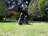DSC01252.jpg