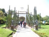 DSC01254.jpg