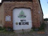DSC01274.jpg