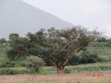 DSC01285.jpg