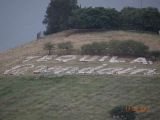 DSC01291.jpg