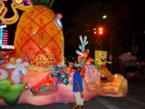 DSC01306.jpg