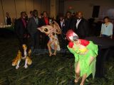DSC01307.jpg