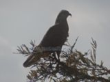 DSC01474.jpg