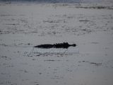 DSC01479~0.jpg