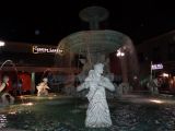 DSC01594.jpg