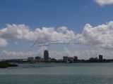 DSC01651.jpg