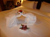 DSC01863.jpg