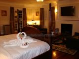 DSC01864.jpg