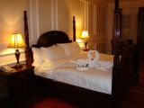 DSC01865.jpg