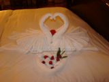 DSC01870.jpg