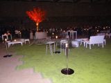 DSC01968.jpg