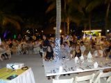 DSC02230.jpg