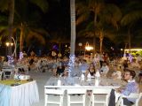 DSC02236.jpg
