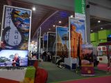 DSC02294.jpg