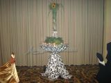 DSC02309.jpg