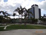 DSC02313.jpg
