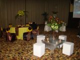 DSC02322.jpg