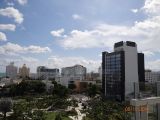 DSC02330.jpg