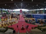 DSC02351.jpg