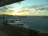 DSC02406.jpg