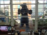 DSC02657.jpg