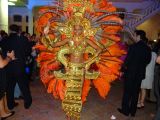 DSC02720.jpg