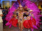 DSC02724.jpg