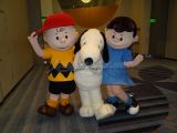 DSC02736.jpg