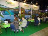 DSC02804.jpg