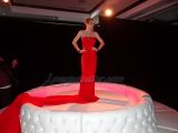 DSC03288.jpg