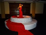 DSC03311.jpg