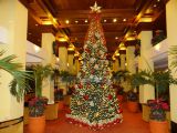 DSC04232.jpg